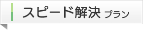 スピード解決プラン